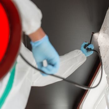 Using a sprayer for sanitizing and disinfecting