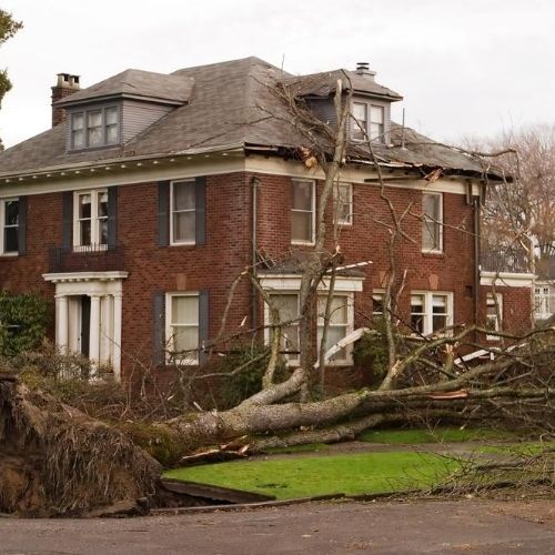 Wind damage restoration in NYC