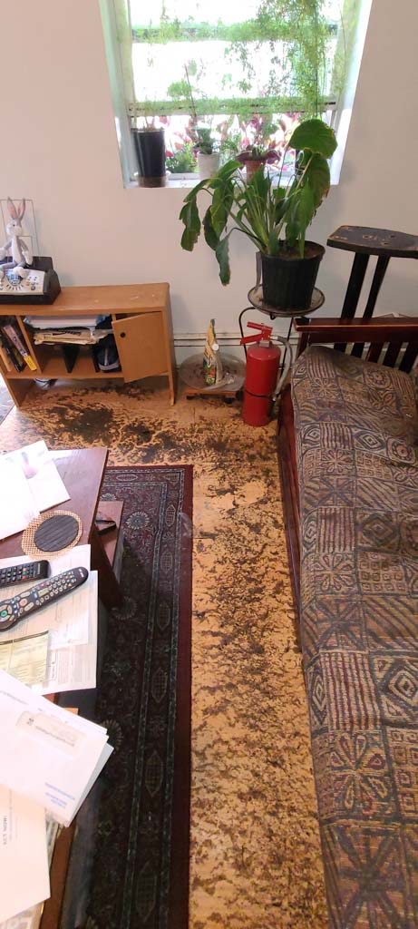 water damage near me in flushing ny