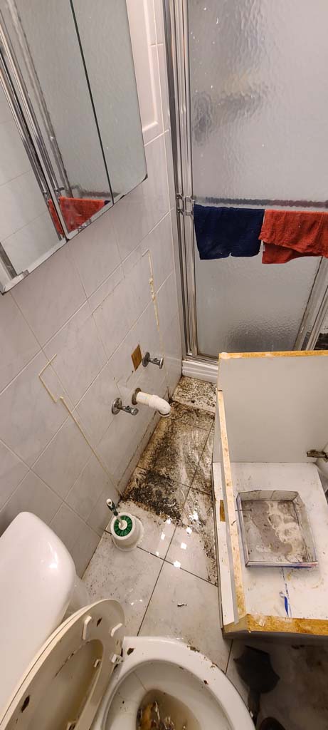 water damage bathroom floor in flushing 11362
