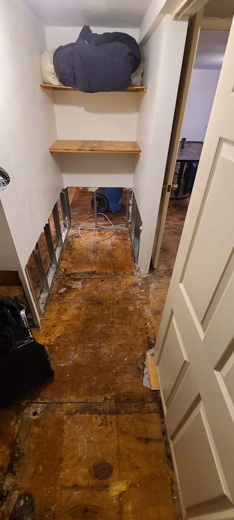 floor water damage repair in flushing 11362