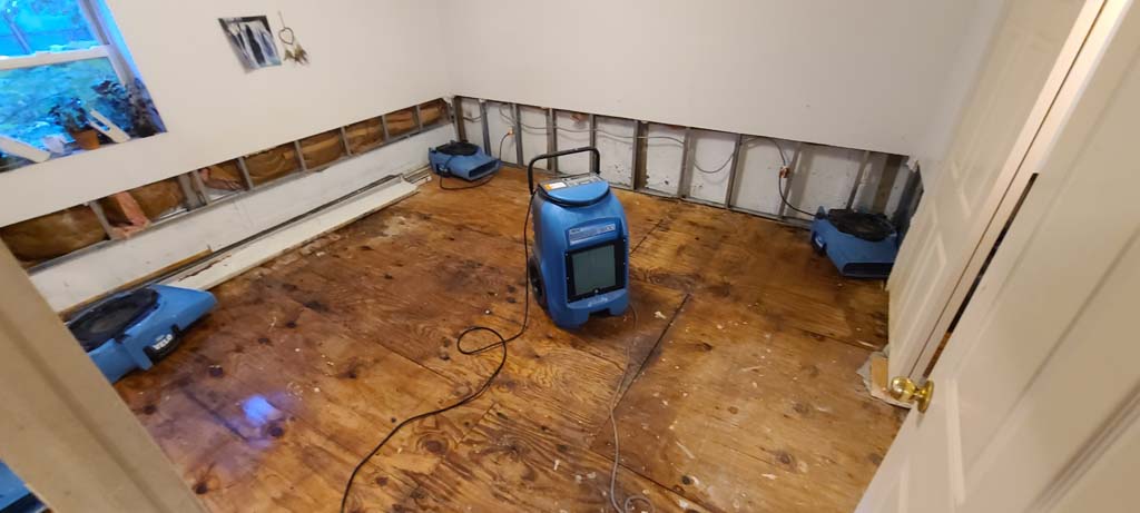 drying hardwood floor in flushing ny 11362