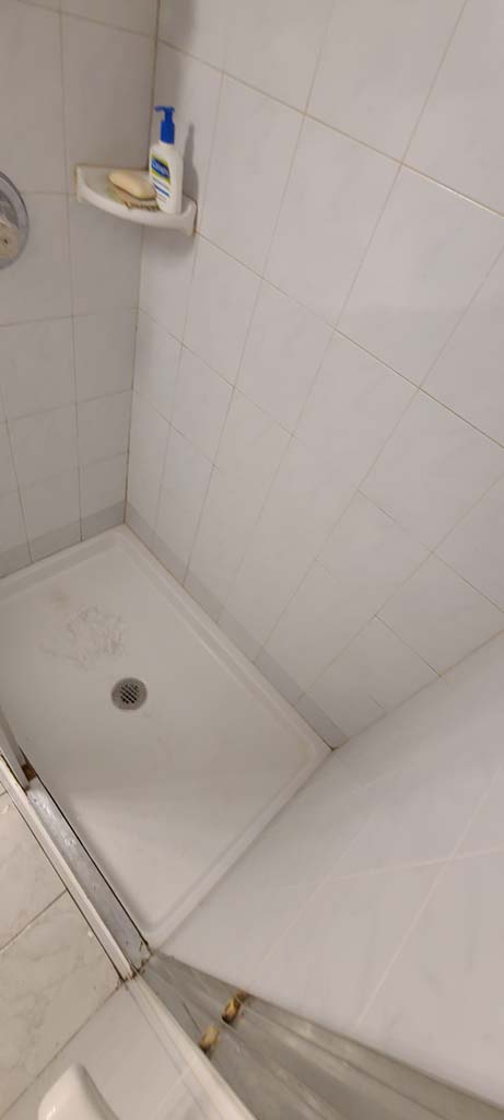 restored shower in flushing ny