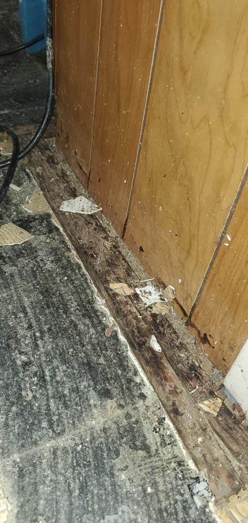 water damage restoration hardwood floor queens