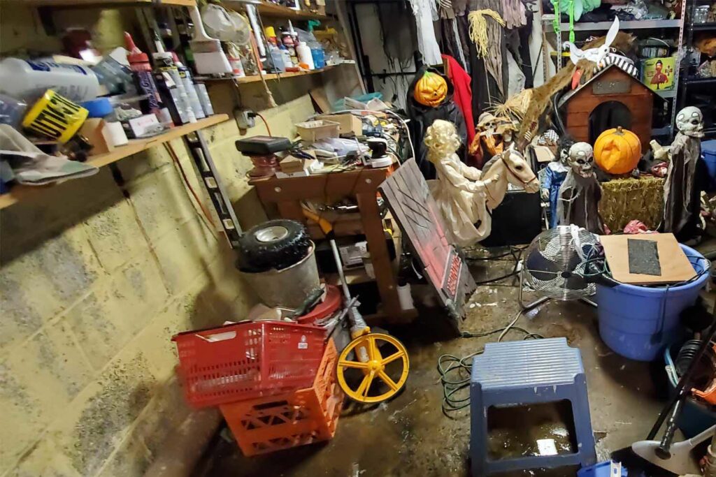 Flooded Basement in Brooklyn before