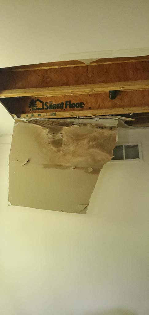 plaster ceiling restoration