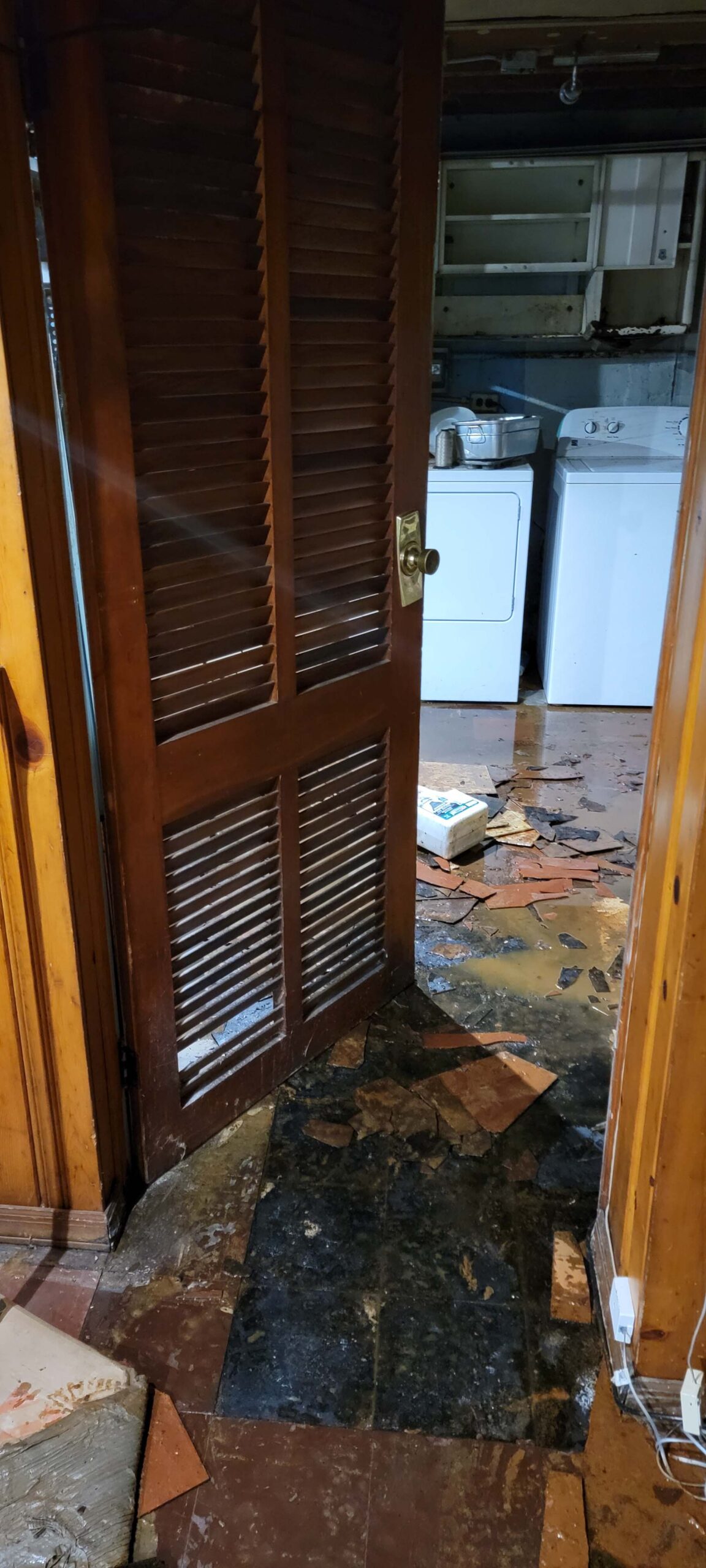 best water damage mitigation companies in flushing ny