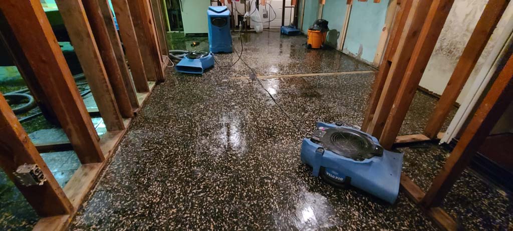 water damage companies in new jersey