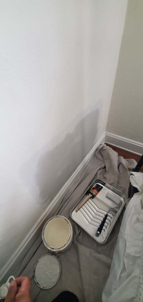 mold inspection in piscataway