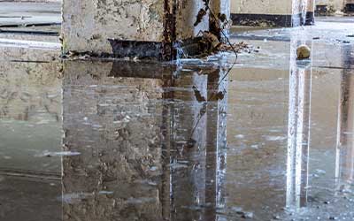 flooded basement cleanup