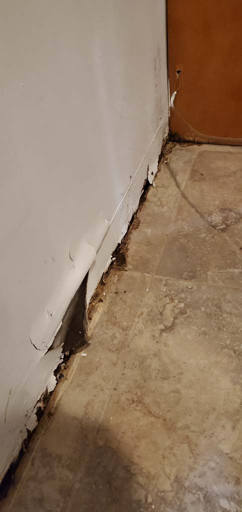 water damage wall mold in queens