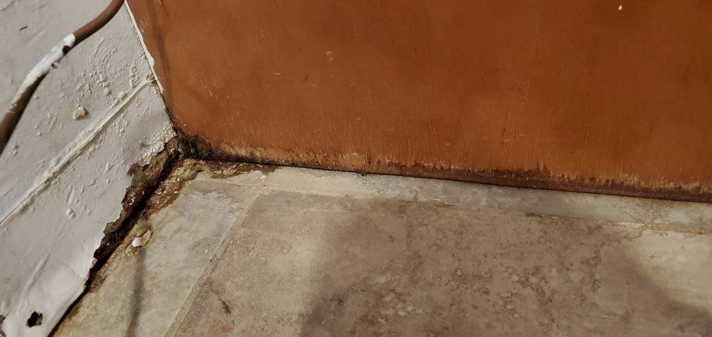 water leak inside wall mold queens