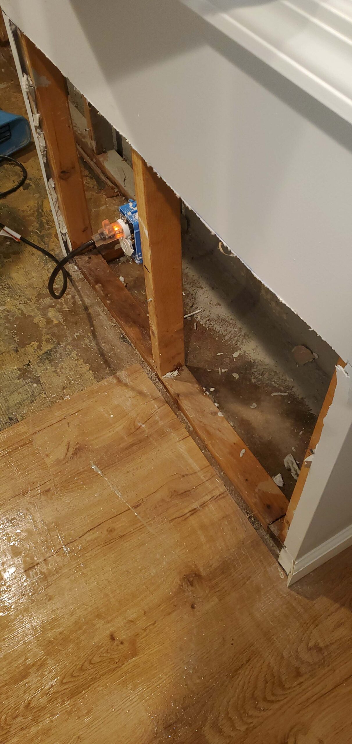 how to prevent mold after water damage in plainview, ny 11803