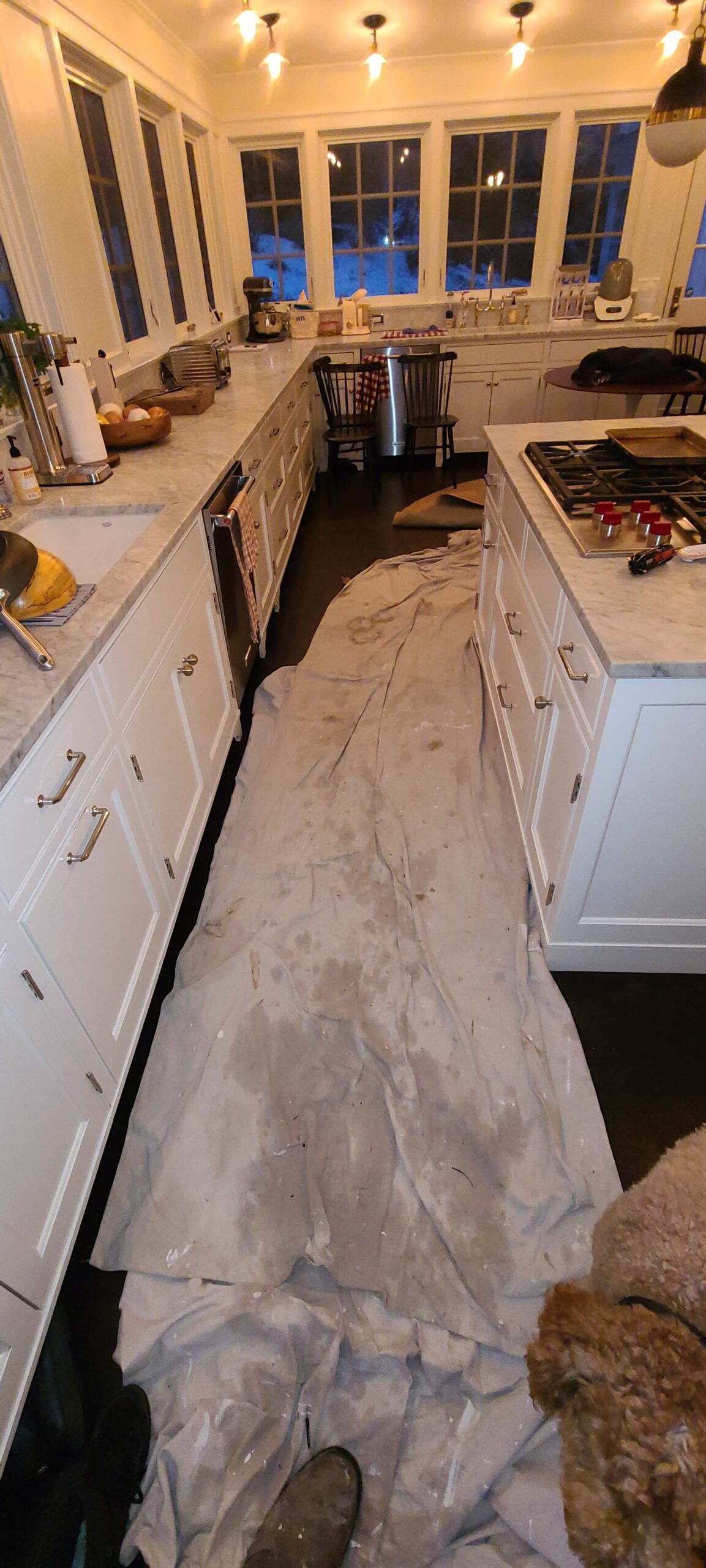 water damage contractor in bronxville