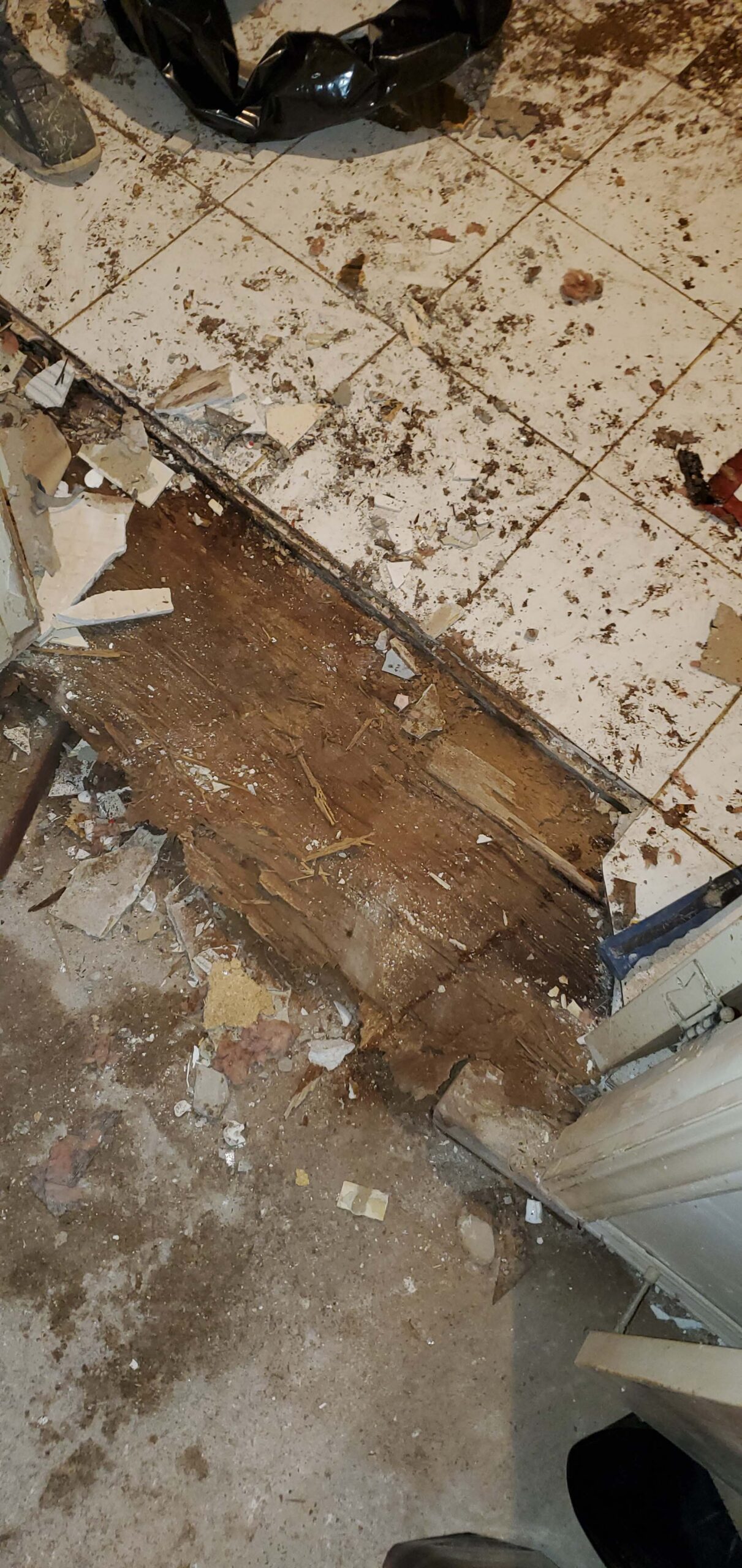 wood floor water damage in queens ny 11414