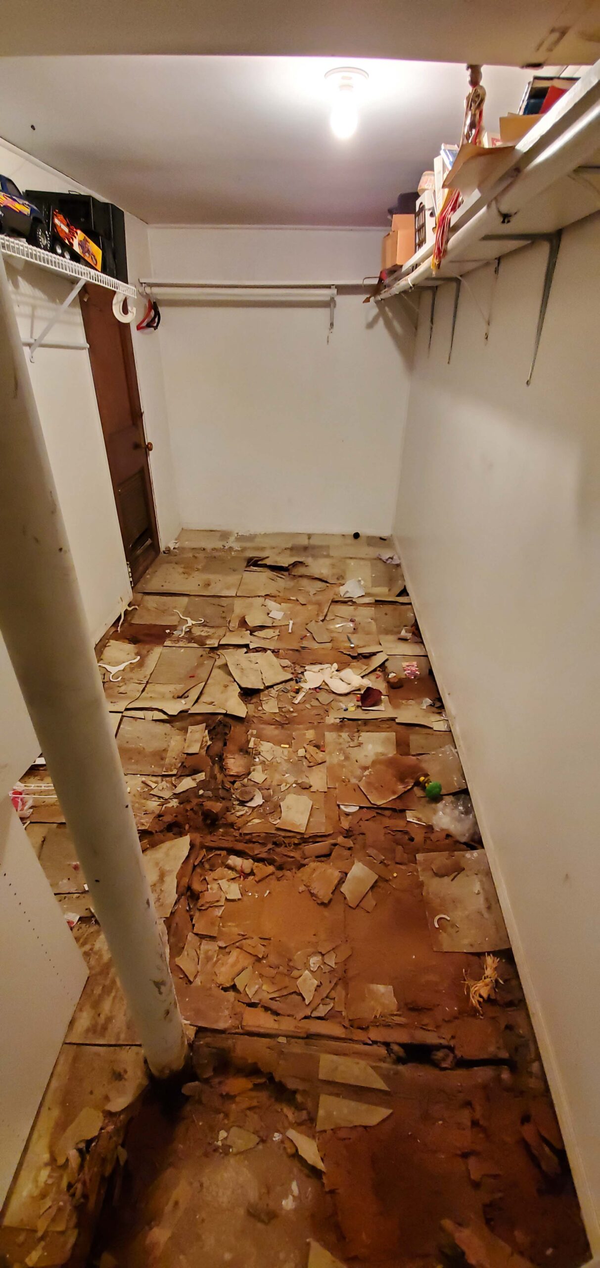 water damage mitigation in queens ny 11414