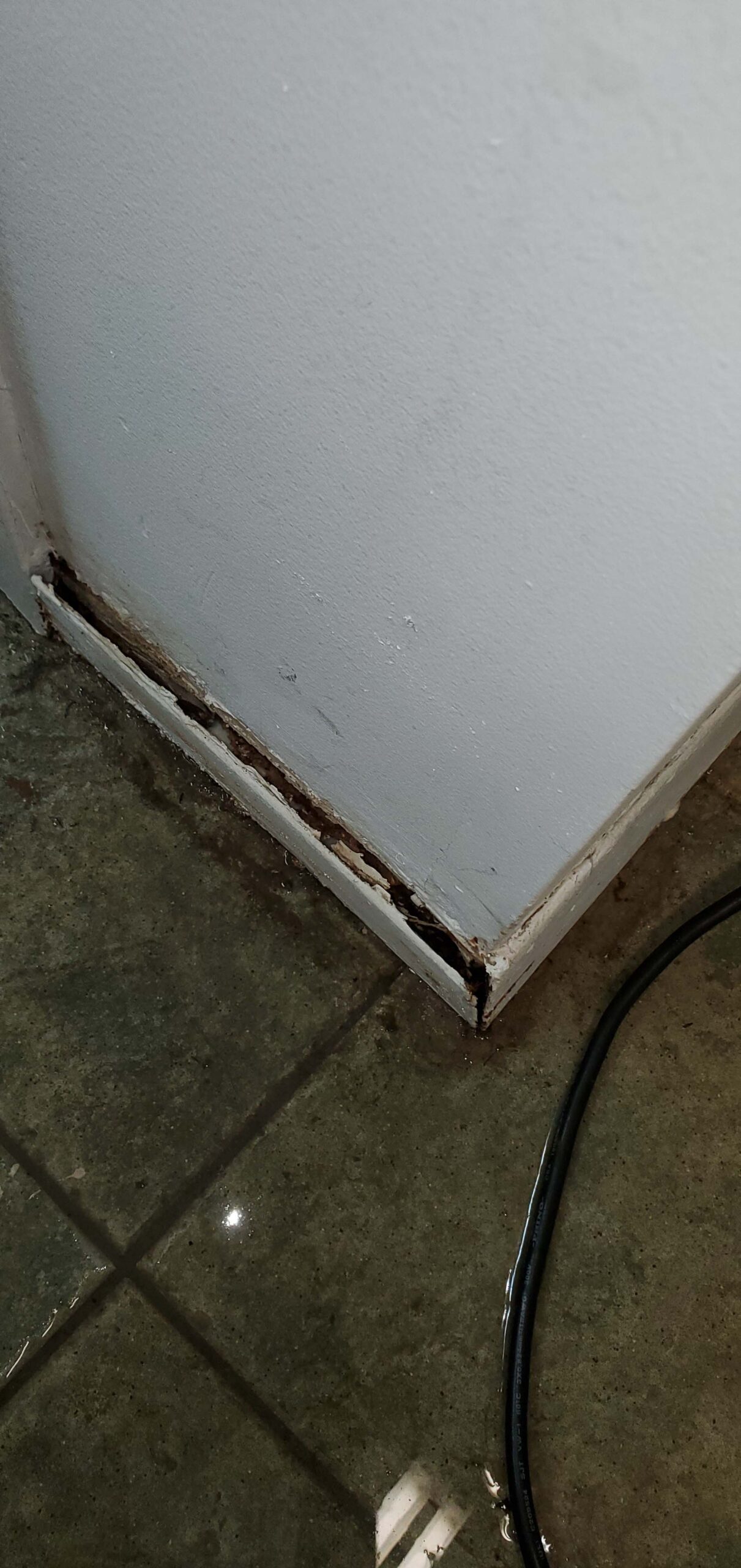 water damage to wall panel in flushing ny